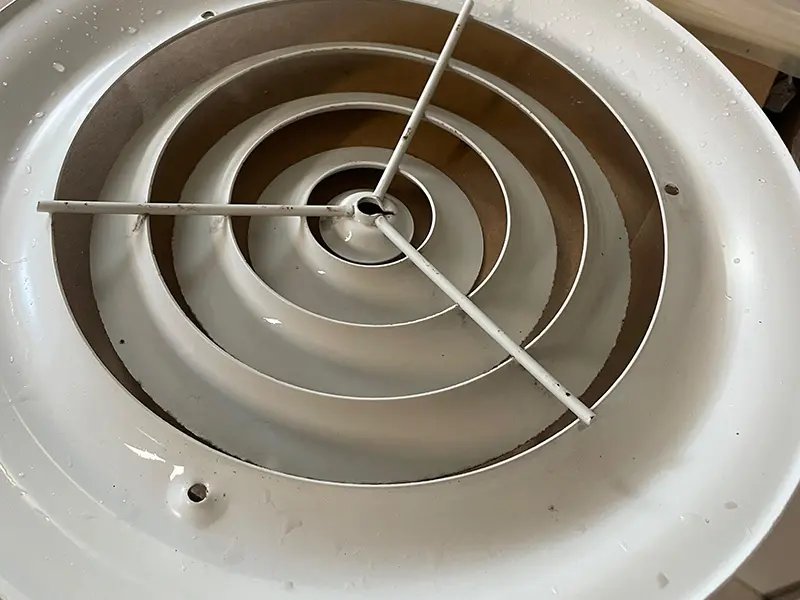 Gallery Thumbnail 17