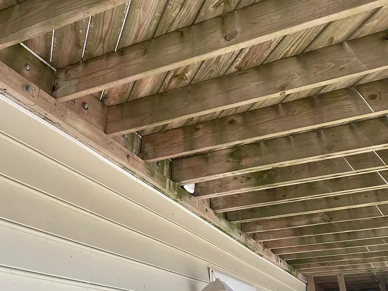 Gallery Thumbnail 19